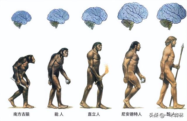 费米悖论到底有多诡异，细思极恐的“费米悖论”。人类会不会是宇宙中唯一的高等文明