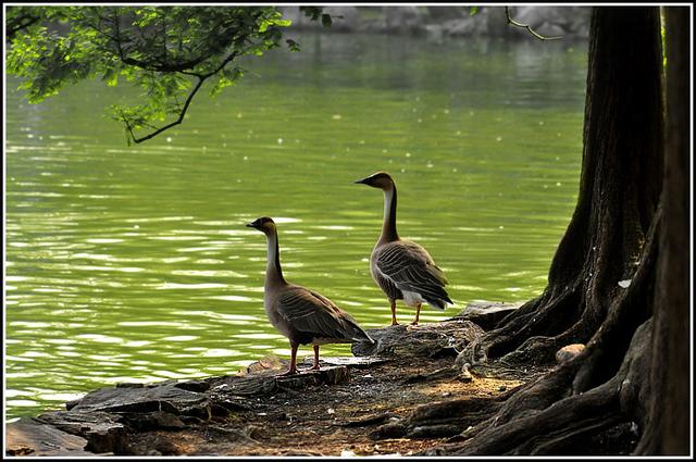 先天八卦与后天八卦，先天八卦和后天八卦的区别（弄懂《易经》乾坤两卦就知道原因）