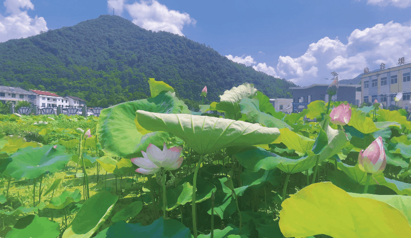 汉中旅游景点排名推荐，汉中旅游景点大全排名榜（在汉中一年四季可以这样玩 →）