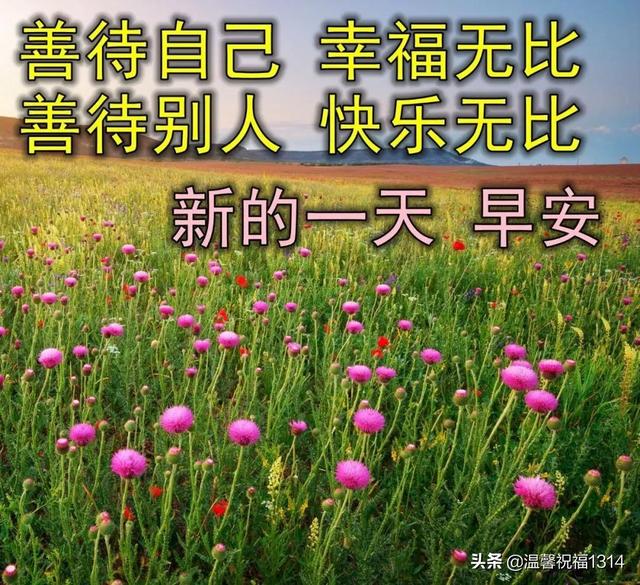 夏日祝福语，表达夏天的词语唯美句子（最美夏日风景早上好图片带祝福语）