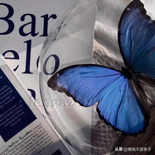 寄明月歌词，《赤伶》歌曲（20句唯美动人的优良古风文案）