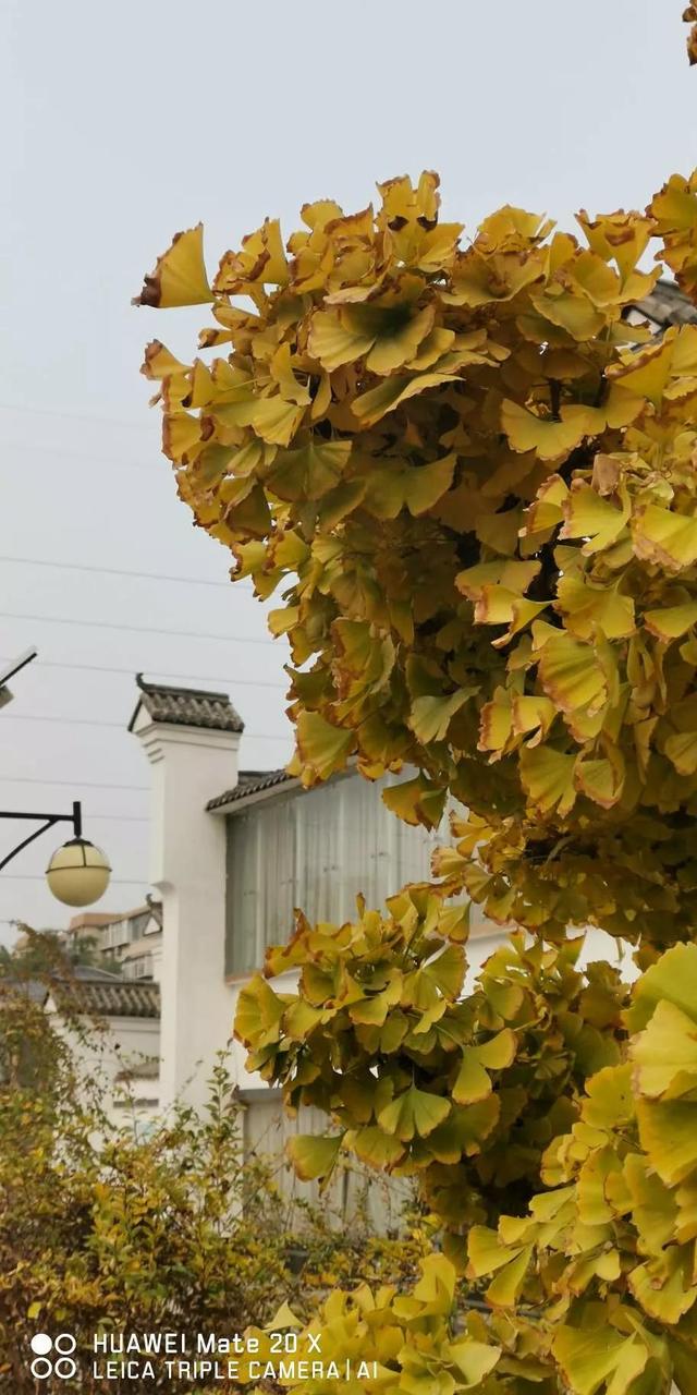 灵魂相似的人一旦相逢，灵魂相似的人一旦相逢是知心朋友（总有一天会在路上相逢）