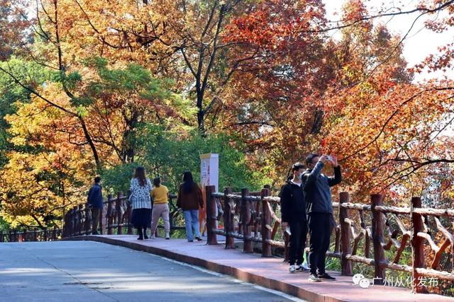 广州石门公园景点，赏红叶首选，当属从化石门