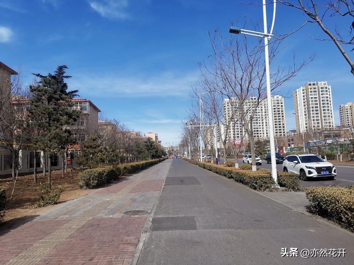 统计调查方案设计案例（职场写作）