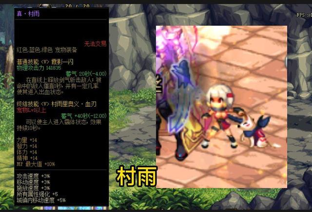 dnf玛巴斯宠物属性，DNF：盘点最稀有宠物排行