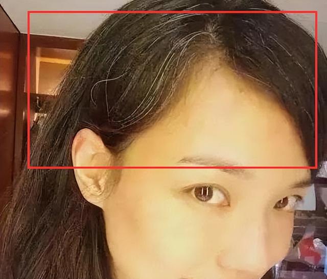 白发女神，涂磊白发女神（6位昔日女神白发照图片）