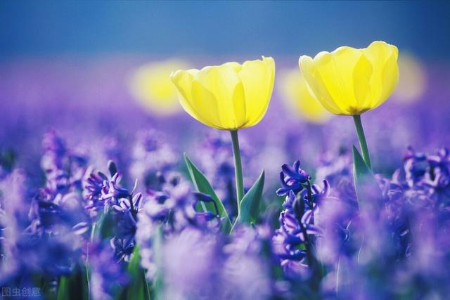 感慨时间匆匆的句子，感慨时间匆匆的句子(2)（20个感慨人生岁月的句子）