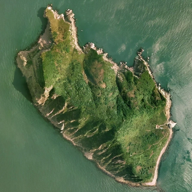 蛇岛的中国蛇岛，中国境内的蛇岛（2万毒蛇齐聚0.8平方公里小岛）