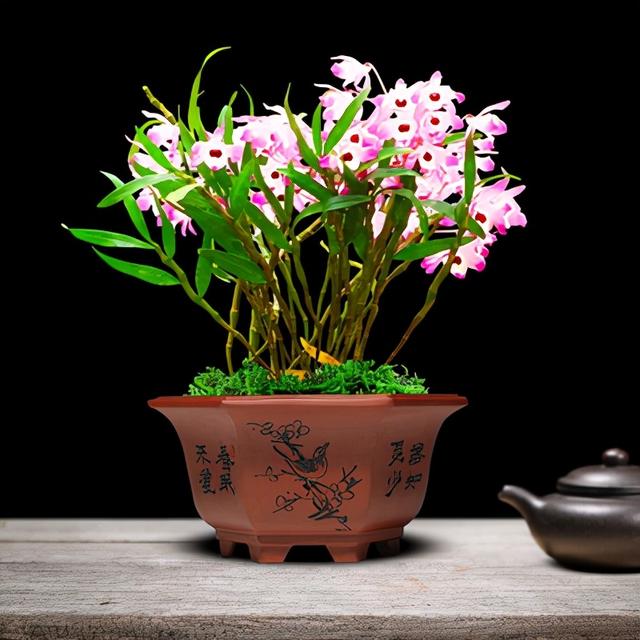 芦荟饮料都有哪几种，芦荟饮料都有哪几种牌子（“大病小病”都走光）