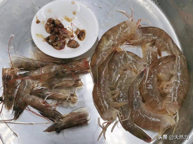 虾蒸蛋怎么做好吃又嫩，虾蒸蛋怎么做好吃又嫩好吃（详细的做法和步骤全告诉你）