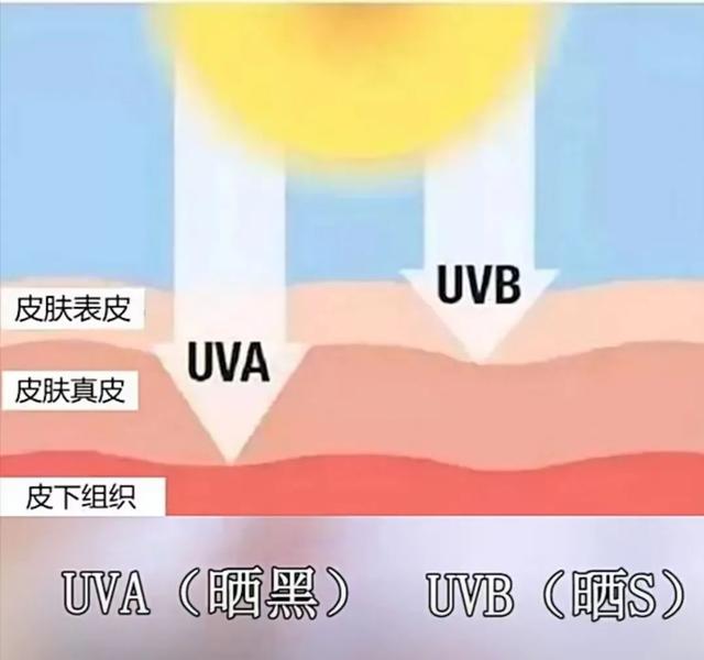 防晒霜怎么用才正确使用顺序，防晒霜正确的涂抹顺序（防晒你做对了吗）