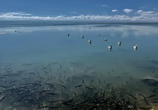 海拔最低的湖泊，世界上海拔最低的湖是什么（纳木错湖年产鱼量可达2000吨）