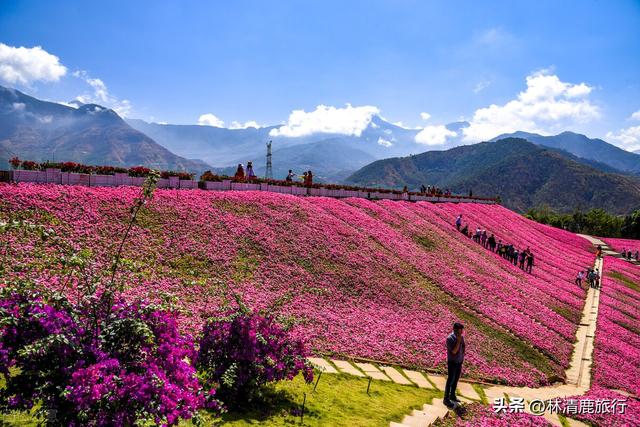 什么地方没有冬天（冬天比昆明还暖和）