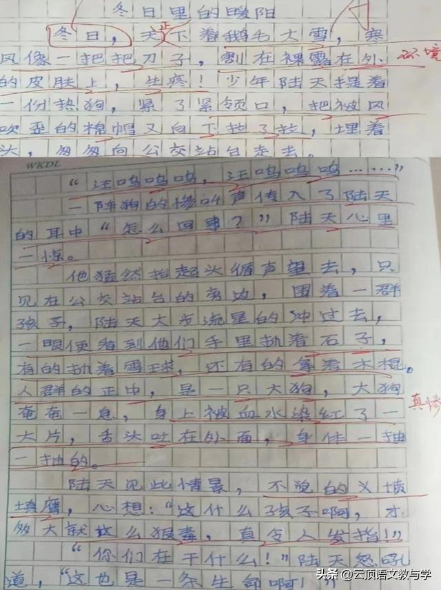 笔尖流出的故事作文500字，六年级上册笔尖流出的故事作文500字（“笔尖流出的故事”习作）