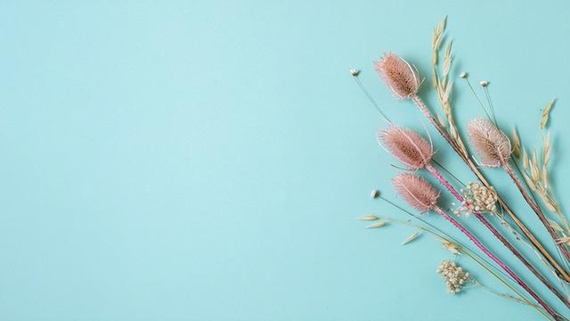 遇到小人怎么办，遇到了小人怎么办（比较有效的化解方法）