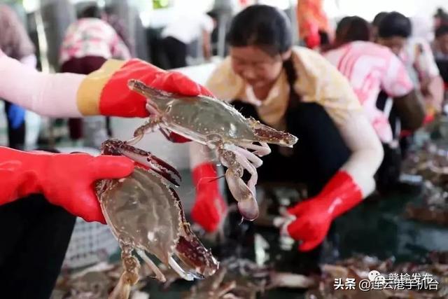 赣榆区美食，赣榆区美食一条街（连云港又上央视了）