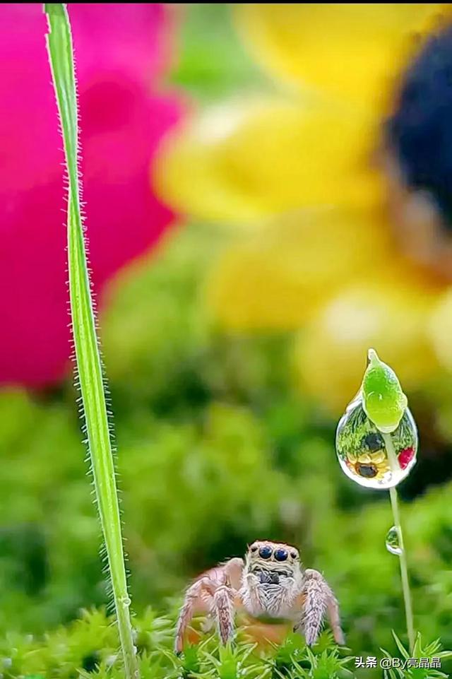 词语搭配什么的小水珠，什么的小水珠填上恰当的词语（晶莹剔透的小水珠）