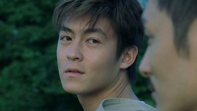 中国十大帅哥排名，中国的10大帅哥（10位巅峰时期的男星）