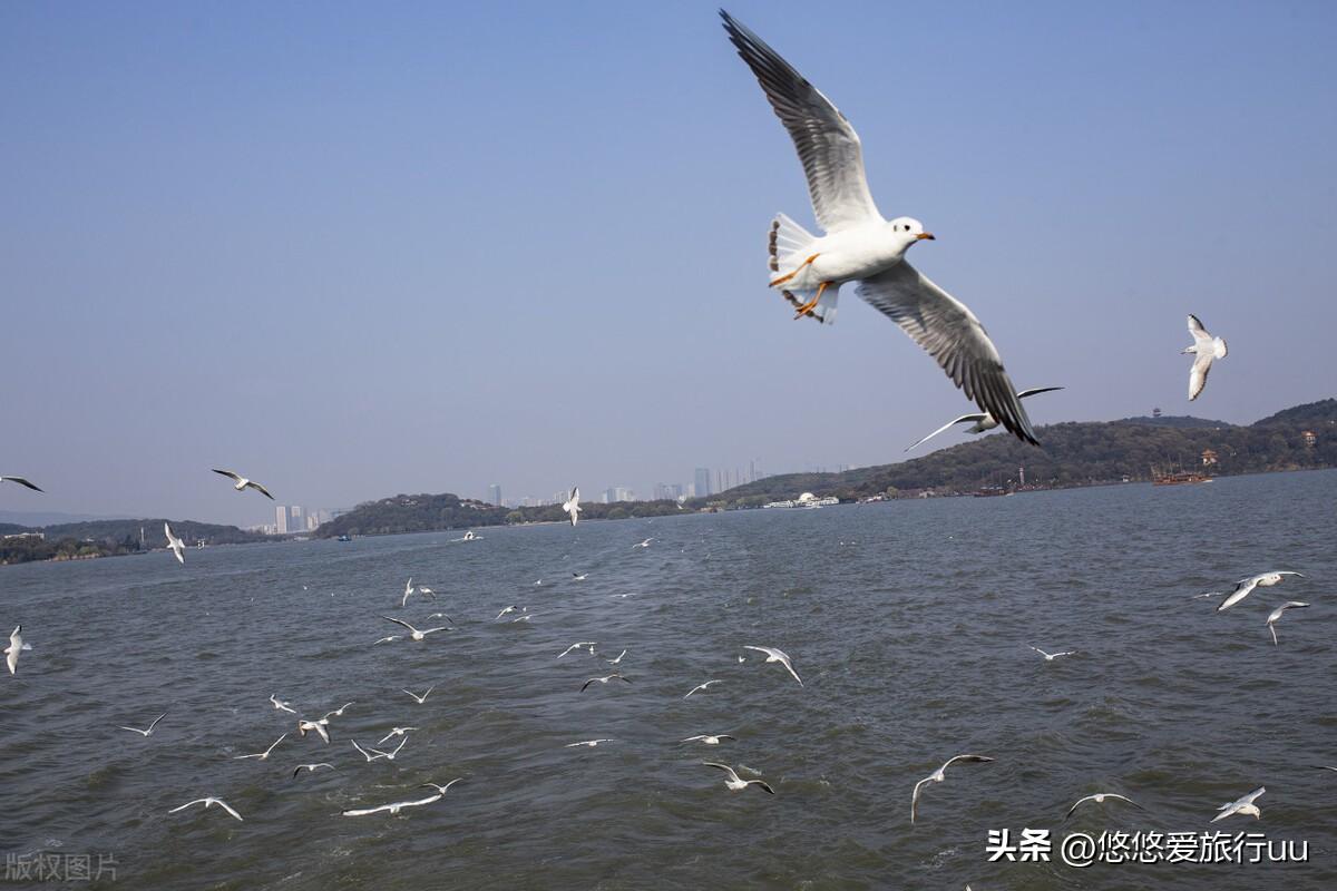 无锡哪里好玩的地方推荐，无疑长假推荐去无锡八大旅游景点