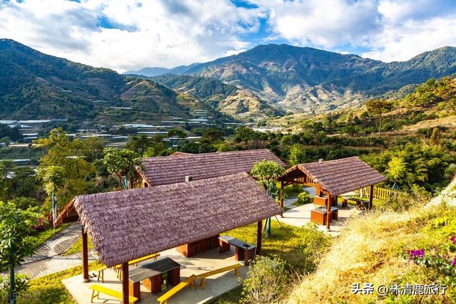 什么地方没有冬天（冬天比昆明还暖和）