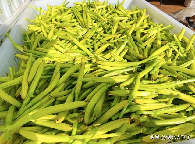 菜图片大全大图，饭店菜谱大全带图片（这43种时令野菜大量生长出来）