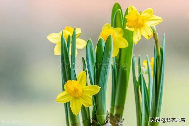 感恩帮助过我的人，感恩帮助过我的人句子（感恩于那些在人生路上）