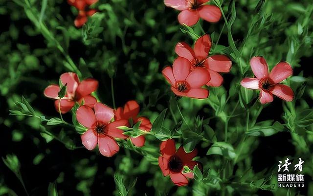 实用的生活小常识，实用生活小常识（10条生活中的心理学常识）