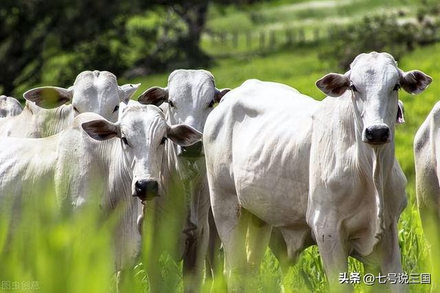 世界上有什么国家，世界上有多少个国家（全球有14个人口超过一亿的国家）