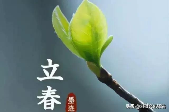 立春介绍简短，关于立春的介绍（立春是什么意思）