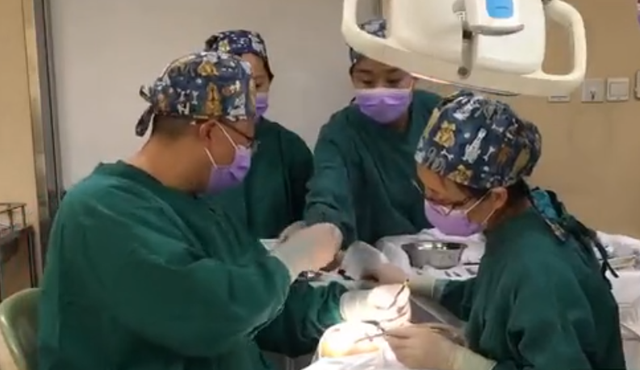 舌系带手术，舌系带手术最佳时间（孩子“大舌头”，必须挨这一刀）