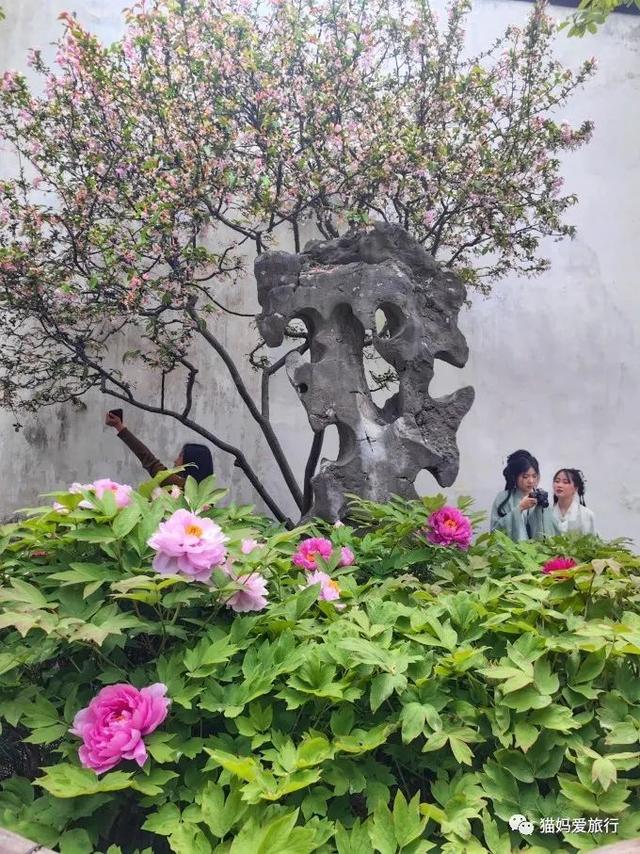 苏州山塘街攻略，苏州山塘街美食最强攻略（周末轻松苏州游）