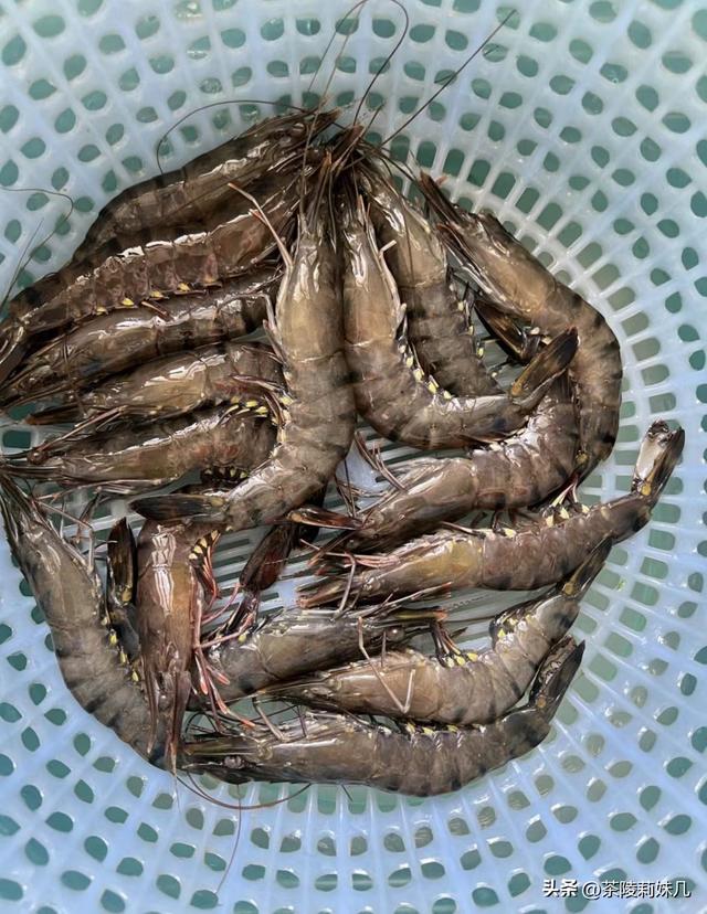 油焖大虾要怎么做，油焖大虾怎么做的（鲜香入味又酥脆）