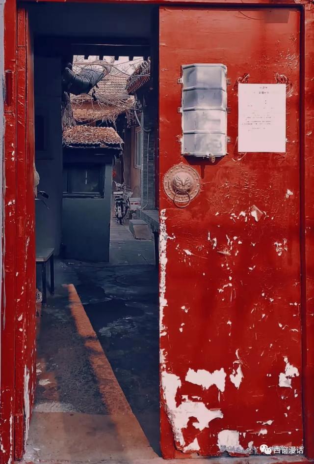 哪部小说主角叫陈九，主角叫陈九生的小说叫什么名字（老高的传说 作者陈九）