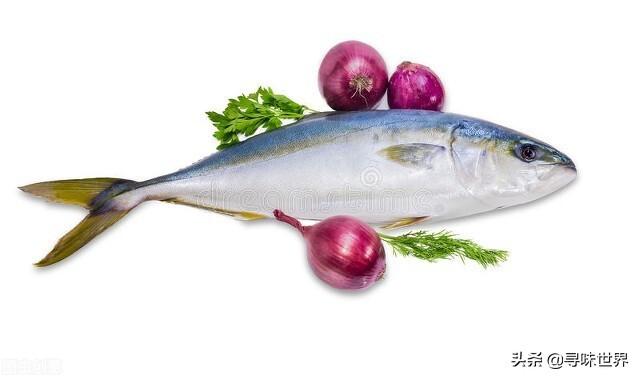 鲷鱼是什么鱼，脆肉鲷鱼是什么鱼（春夏季海鱼9大排名来了）