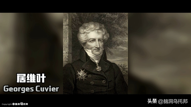 诺亚方舟的故事，诺亚方舟的故事介绍（被CIA隐藏50年禁书）