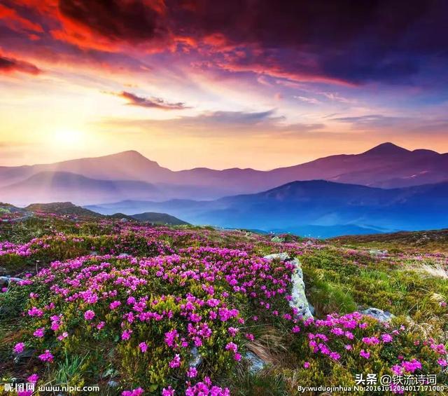 四月天的诗句有哪些，有关四月天的诗句（人间最美四月天.阳春三月飘雪花）