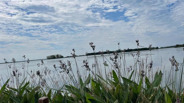 上海到青岛多远，上海到青岛的路程（上海青岛往返1400公里全程无高速沿途城市蜻蜓点水游）