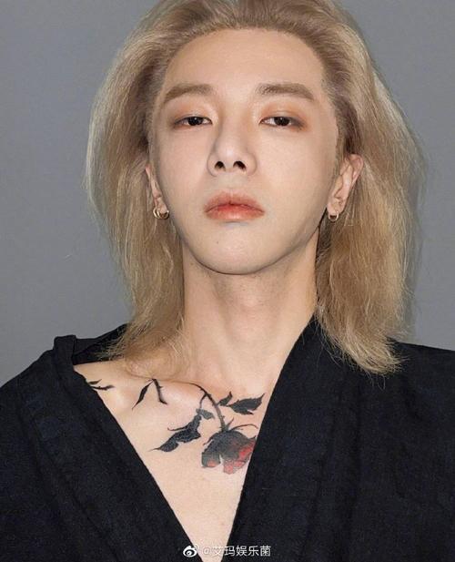 网红头像2018微信，网红头像2018（与华晨宇晚间同行难掩喜悦）