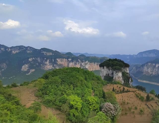 中国易学大师排名，中国易学大师排名肖金满（天乙派王恺崧荣获2022年度首届全网“民间顶级风水易学专家”亚军）