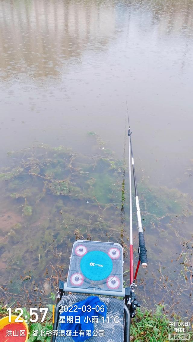 武汉白沙洲人工河，天气下雨鱼情好。坐标武汉市洪山区白沙洲青菱河