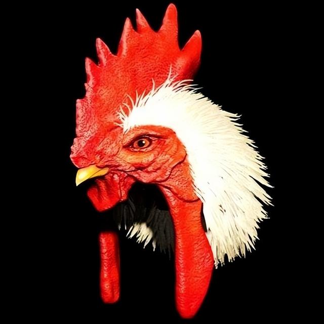 生化危机4攻略，生化危机4秘籍大全（生化危机4重制版通关奖励攻略）