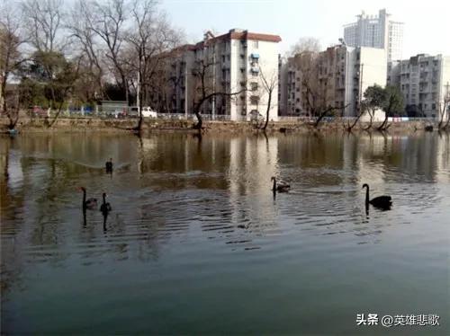 江苏大学京江学院怎么样，王牌专业是什么（江苏大学与安徽大学）
