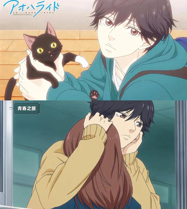 好看的校园动漫，好看的后宫校园爱情动漫（高分青春校园恋爱番推荐）