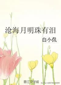 京味儿浓的小说，想找类似于《沉香豌》《河自漫漫景自端》这种京味儿的高干小说（强推3本京味儿高干现言）