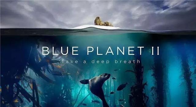 儿童必看的电影，6岁儿童必看的经典电影（适合孩子暑假看的8部纪录片）