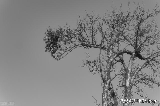 建议安乐死合法化，对于安乐死在中国是否应该合法化的思考（人大代表最新提议）