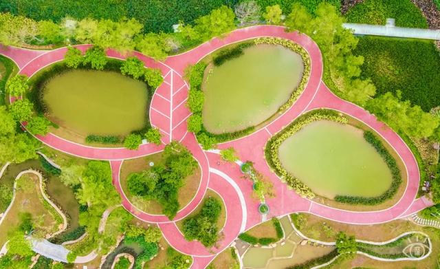 深圳有啥好玩的地方 排行榜，深圳有什么好玩的地方免费的（深圳必去的100个地方）