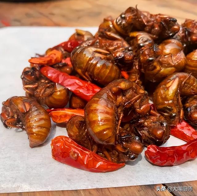 吃知了有什么好处，吃知了有什么功效（金蝉虽好吃，有没有营养）