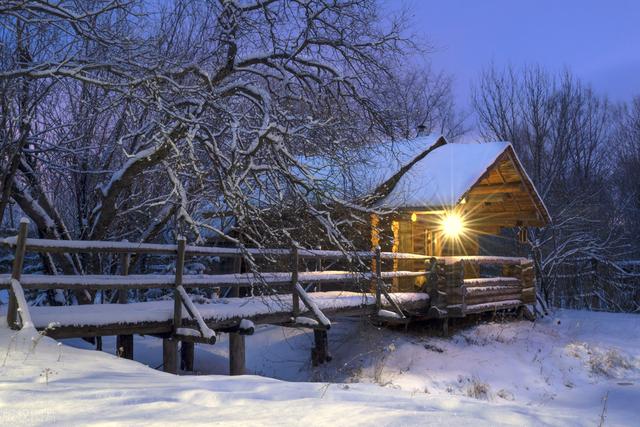 斑驳砖墙,古朴小院,以及探出院墙外的空枝,都被雪色晕染,静谧的冬夜