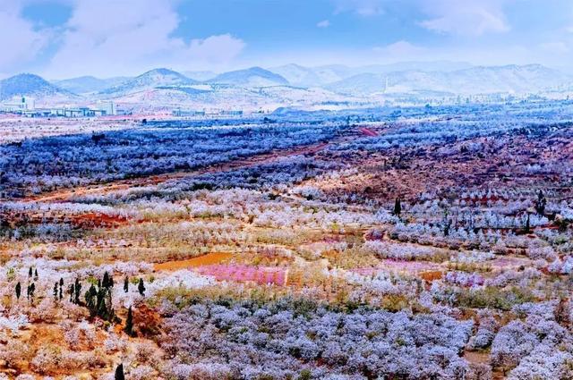 云南花海旅行记，春天，来云南与七彩花海相遇